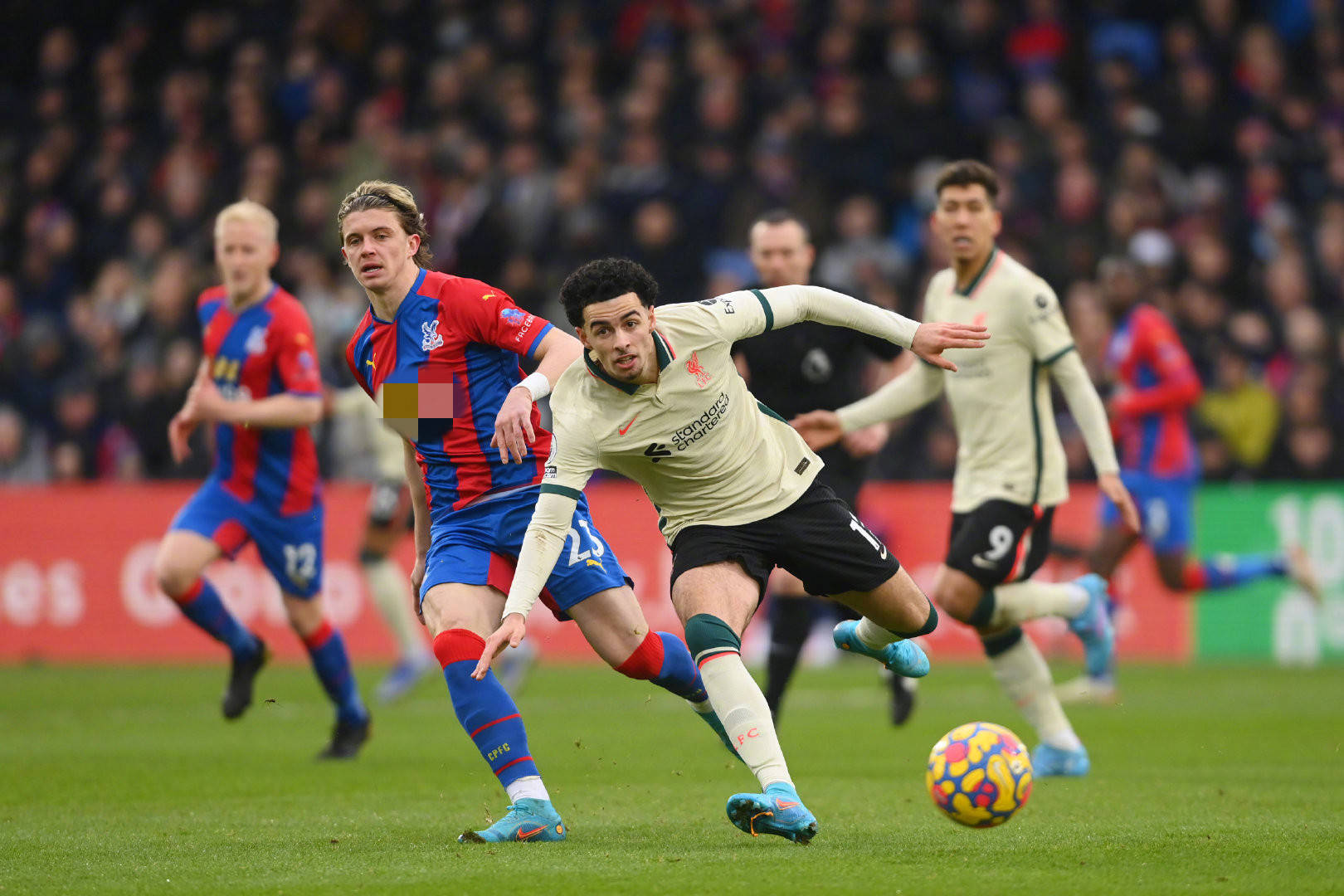 而赔率也成 而赔率也成